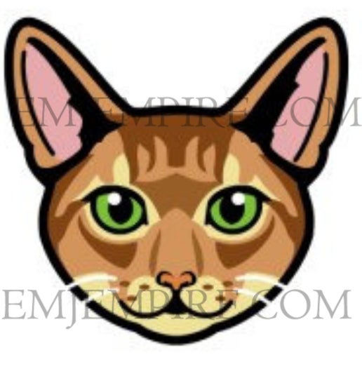 Abyssinian Orange Tabby Cat shorthair - Waterproof vinyl decal for car, laptop, phone, water bottle