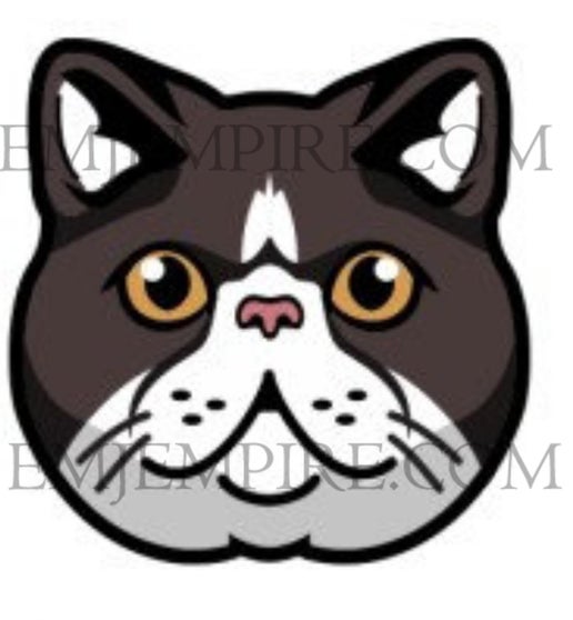 Exotic shorthair Grey Cat - Waterproof vinyl decal for car, laptop, phone, water bottle