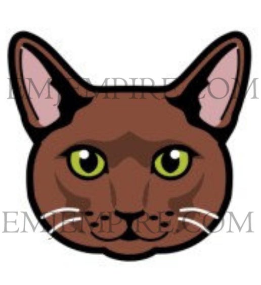 Cinnamon Cat shorthair - Waterproof vinyl decal for car, laptop, phone, water bottle