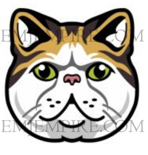 Exotic shorthair Cat - Waterproof vinyl decal for car, laptop, phone, water bottle