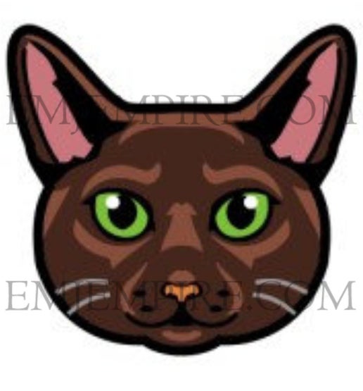 Chocolate Cat shorthair - Waterproof vinyl decal for car, laptop, phone, water bottle