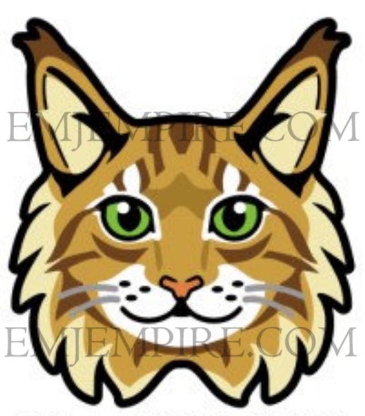 Maine Coon Orange Cat longhair - Waterproof vinyl decal for car, laptop, phone, water bottle