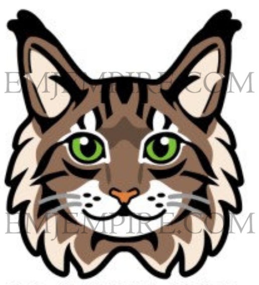 Maine Coon Brown Cat longhair - Waterproof vinyl decal for car, laptop, phone, water bottle