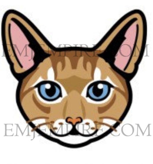 Abyssinian Orange Cat shorthair - Waterproof vinyl decal for car, laptop, phone, water bottle